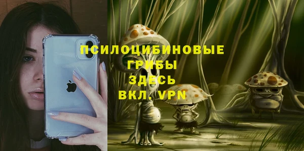 дурь Березники