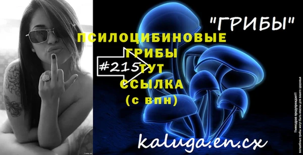 соль ск Краснотурьинск